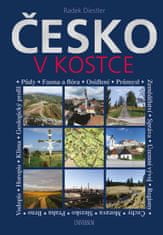 Radek Diestler: Česko v kostce