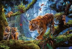 Educa Puzzle Tygři na stromě 1000 dílků