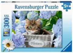 Ravensburger Puzzle Malé kotě XXL 300 dílků