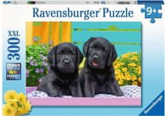 Ravensburger Puzzle Černí labradoři XXL 300 dílků