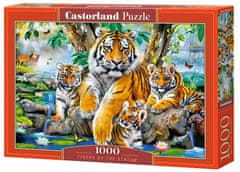 Castorland Puzzle TygřI U ŘEKY 1000 dílků