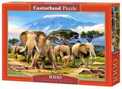 Castorland Puzzle Ráno pod Kilimandžárem 1000 dílků
