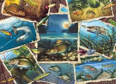 Cobble Hill Puzzle Obrázky ryb 1000 dílků