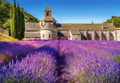 Castorland Puzzle Levandulové pole v Provence, Francie 1000 dílků