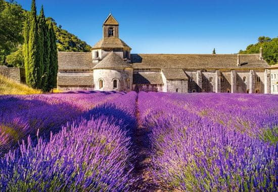 Castorland Puzzle Levandulové pole v Provence, Francie 1000 dílků