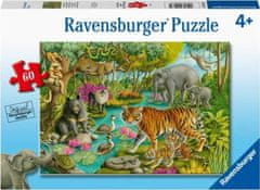 Ravensburger Puzzle Indický les 60 dílků