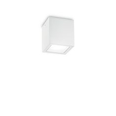 Ideal Lux Venkovní stropní přisazené svítidlo Ideal Lux TECHO PL1 SMALL BIANCO 251561 GU10 1x20W IP54 9cm bílé