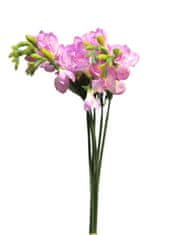 C7.cz Frézie - Freesia svazek x 6 fialová (lavender) 46 cm