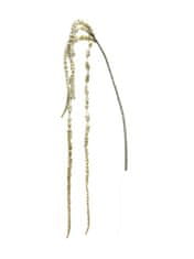 C7.cz Laskavec ocasatý - Amaranthus caudatus kremový 112 cm