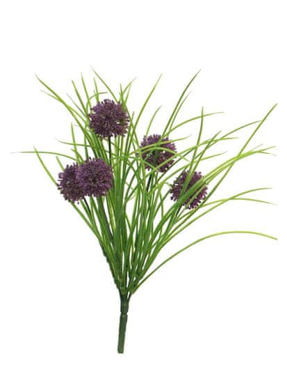 C7.cz Česnek okrasný - Allium x3 fialová s trávou 39 cm