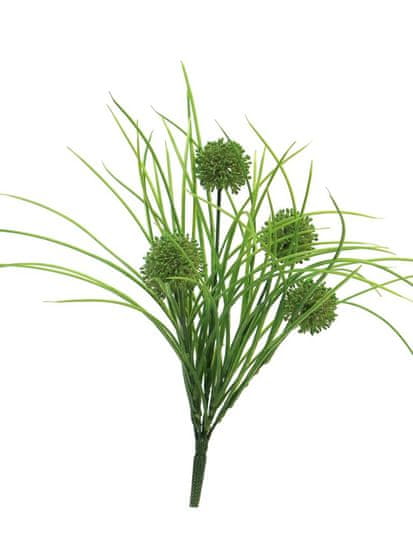 C7.cz Česnek okrasný - Allium x3 zelená s trávou 39 cm