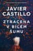 Javier Castillo: Ztracena v bílém šumu