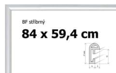 BFHM Plastový rám 84x59,4cm - stříbrný