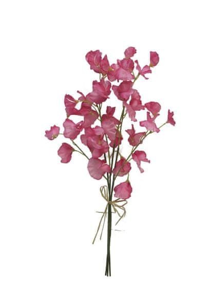 C7.cz Hrachor vonný - Lathyrus odoratus svazek (dk) tmavorůžový v50 cm (N125848)