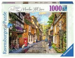 Ravensburger Puzzle Meadow Hill Lane 1000 dílků