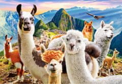 Castorland Puzzle Selfie lam na Macchu Picchu 1000 dílků