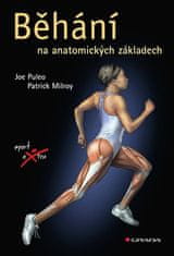 Puleo Joe, Milroy Patrick,: Běhání na anatomických základech