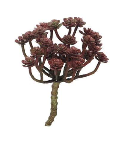 C7.cz Kaktus červený (bordeaux) 19 cm