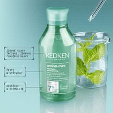 Redken Čisticí šampon pro citlivou pokožku a rychle se mastící vlasy Amino Mint (Shampoo) (Objem 300 ml)