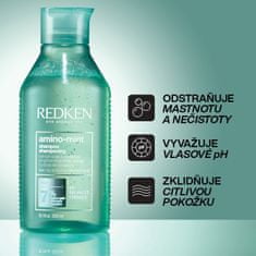 Redken Čisticí šampon pro citlivou pokožku a rychle se mastící vlasy Amino Mint (Shampoo) (Objem 300 ml)