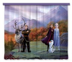 AG Design Dětský foto závěs DISNEY LEDOVÉ KRÁLOVSTVÍ 180 x 160 cm