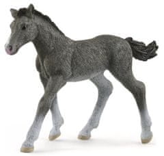 Schleich 13944 Trakénské hříbě