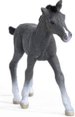 Schleich 13944 Trakénské hříbě