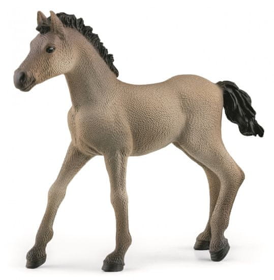 Schleich 13949 Hříbě Criollo Definitivo