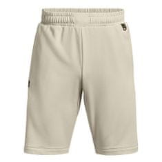 Under Armour UA ARMOUR TERRY SHORT-BRN, UA ARMOUR TERRY SHORT-BRN | 1366266-279 | LG