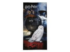 Detexpol Osuška Harry Potter expres Bavlna - Froté, 70x140 cm