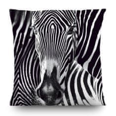 AG Design Dekorativní polštář Zebra 45 x 45 cm