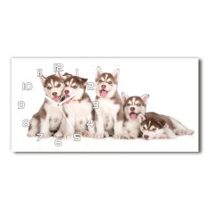 Wallmuralia Skleněné hodiny na stěnu Štěně Husky bílé 60x30 cm