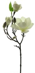 C7.cz Magnolie - Magnolia (spray) 'Lester' krémová 50 cm