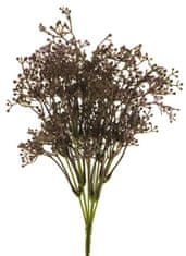 C7.cz Gypsophila jarní keř fialová 34 cm