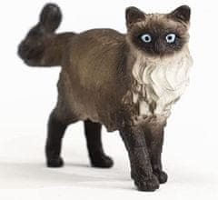 Schleich 13940 Ragdoll kočka