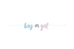 Párty girlanda Gender reveal - Boy or Girl - Kluk nebo Holka - 213 cm