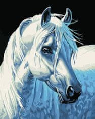 Gaira® Malování podle čísel Bílý kůň M1387