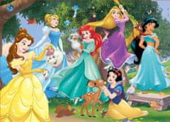 Educa Dřevěné puzzle Disney Princezny 100 dílků