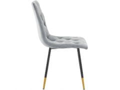 Danish Style Jídelní židle Lilith (SET 2 ks), šedá