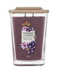 Yankee Candle 552g elevation collection grapevine &