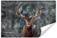 Muralo Fototapeta JELEN Zimní krajinka příroda 3D 315x210cm