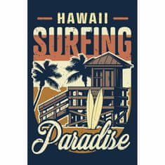 Retro Cedule Cedule Hawaii Surfing Paradise