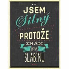 Retro Cedule Cedule Jsem silný protože znám tvou slabinu