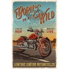 Retro Cedule Cedule Born To Be Wild