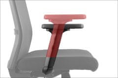 STEMA Otočná kancelářská židle RIVERTON. Má nylonovou základnu, měkká kolečka, nastavitelné područky, hlavovou a bederní opěrku. Nastavitelné sedadlo. Synchronní mechanismus. Barva černá/šedá.