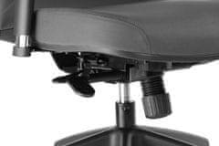 STEMA Otočná ergonomická kancelářská židle KENTON pro domácnost i kancelář. Má nylonovou základnu, měkká kolečka, nastavitelné područky a synchronní mechanismus. Nastavitelné sedadlo. Šedá barva.