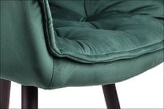 STEMA Židle do obývacího pokoje nebo jídelny CN-9220 zelená