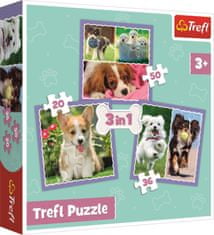 Trefl Puzzle Roztomilá štěňata 3v1 (20,36,50 dílků)