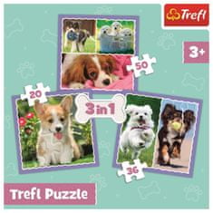 Trefl Puzzle Roztomilá štěňata 3v1 (20,36,50 dílků)