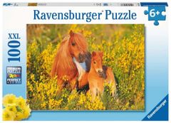 Ravensburger Puzzle Shetlandští poníci XXL 100 dílků